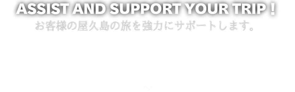 屋久島で縄文杉1日ツアーに参加するなら | 縄文杉を見るなら屋久島へ!