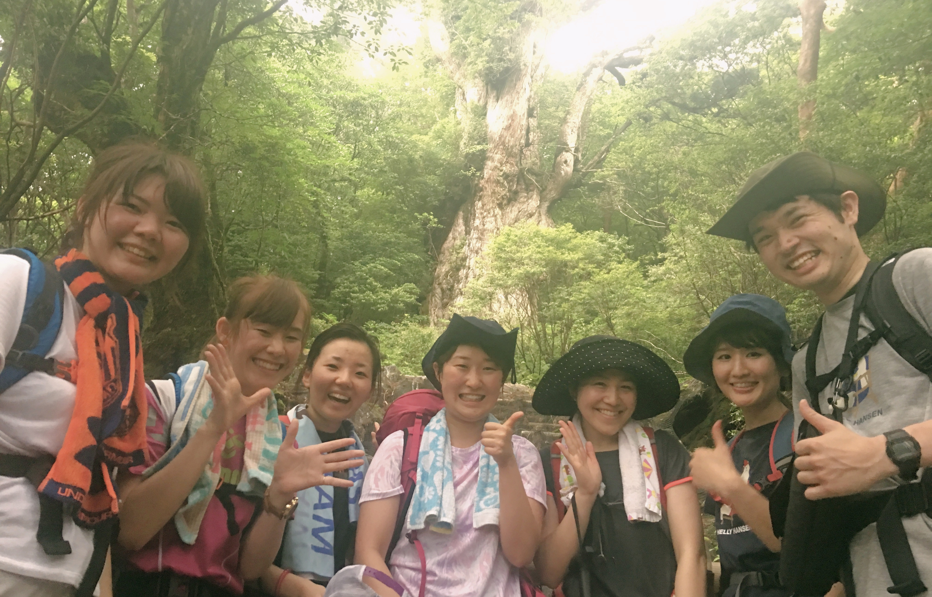 旅の仲間と行く!縄文杉1日コース。屋久島でトレッキングツアーを行うGUIDE OFFICE 屋久島では、屋久杉を1日で堪能するコースから、白谷雲水峡を散策するハイキング、白谷雲水峡の森を抜けた太鼓岩を目指すトレッキングなどをご用意しております。