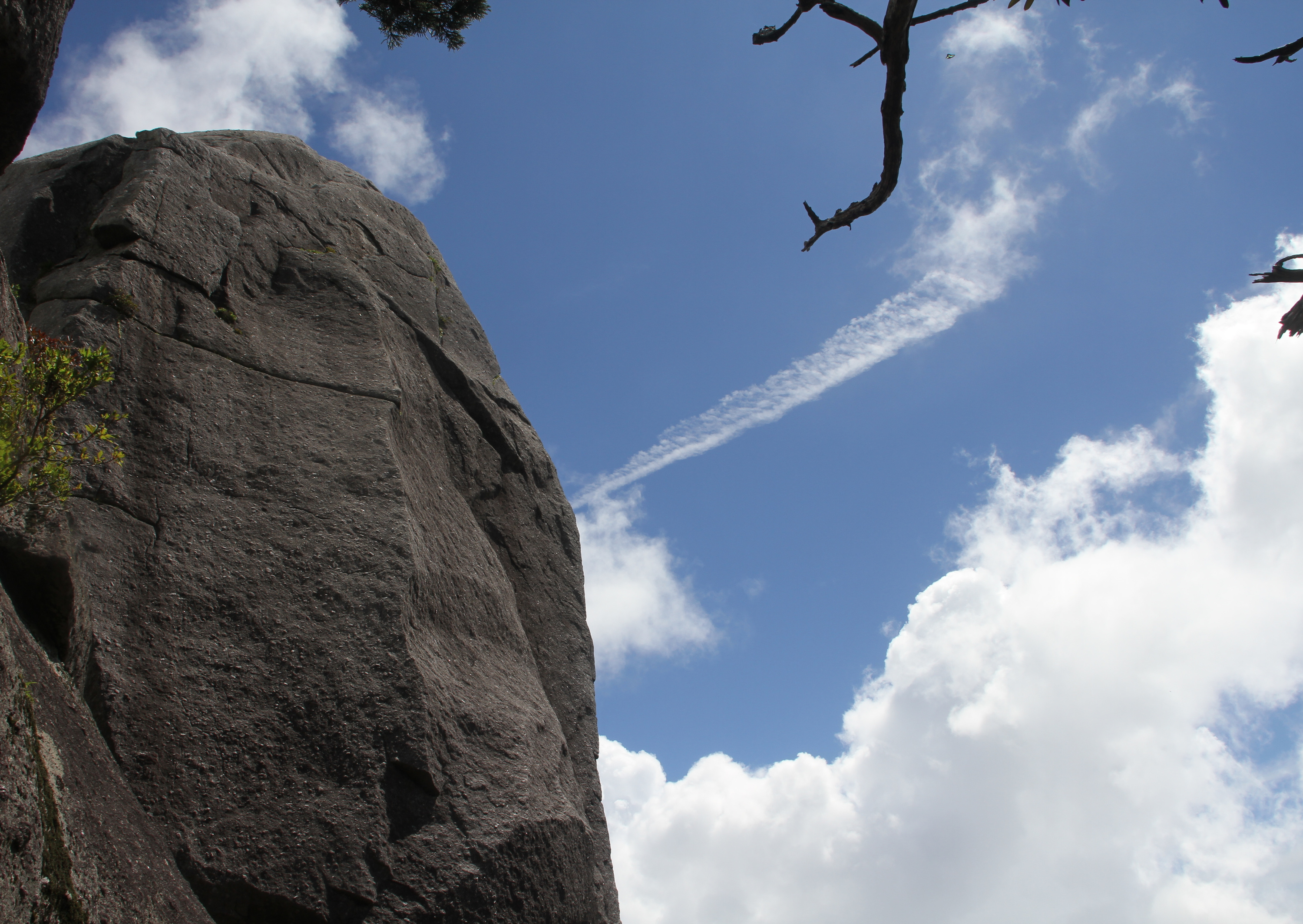 モーニングトレック太忠岳(ヤクスギランド)。屋久島の森にそびえる太忠岳を目指すトレッキングコースです。
