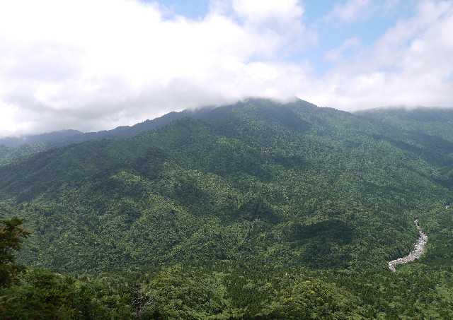 屋久島旅行のおすすめシーズン