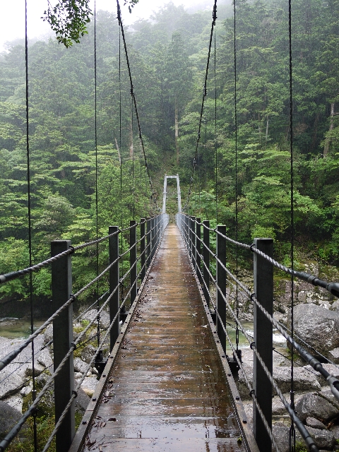 屋久島・縄文杉の日帰りツアーは夏場がおすすめ