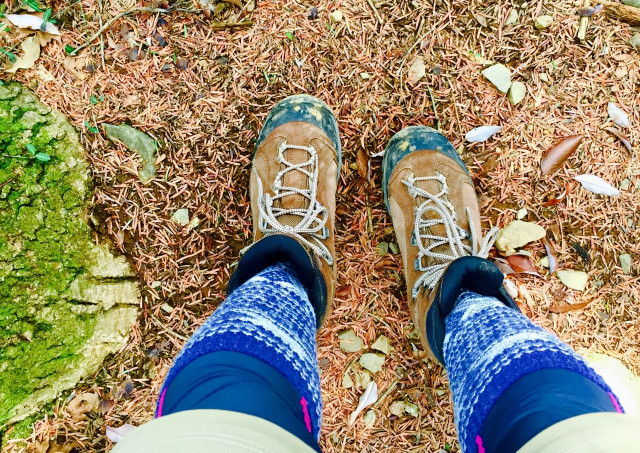 山道を歩く際は、登りは歩幅を小さく、下りは滑らないようにすることを意識しましょう。日帰りで屋久島を楽しみたい方はGUIDE OFFICE 屋久島へ。
